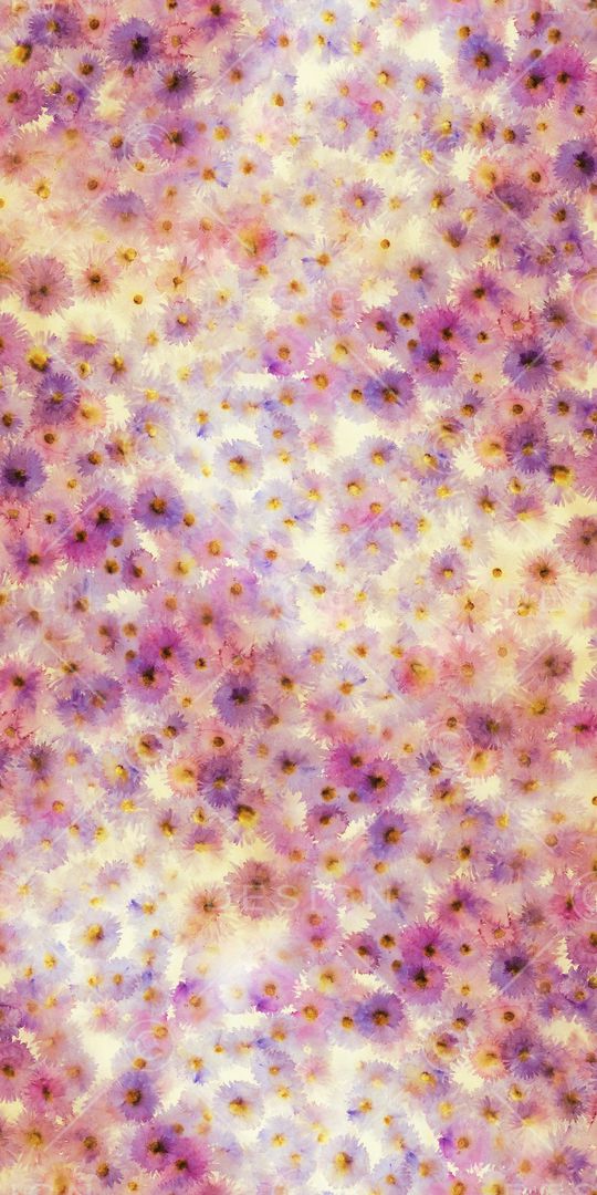 女装印花华亿平台图片