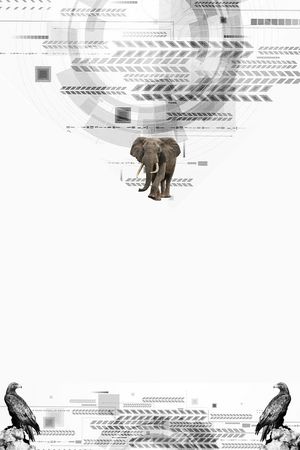 创意印花华亿平台图片