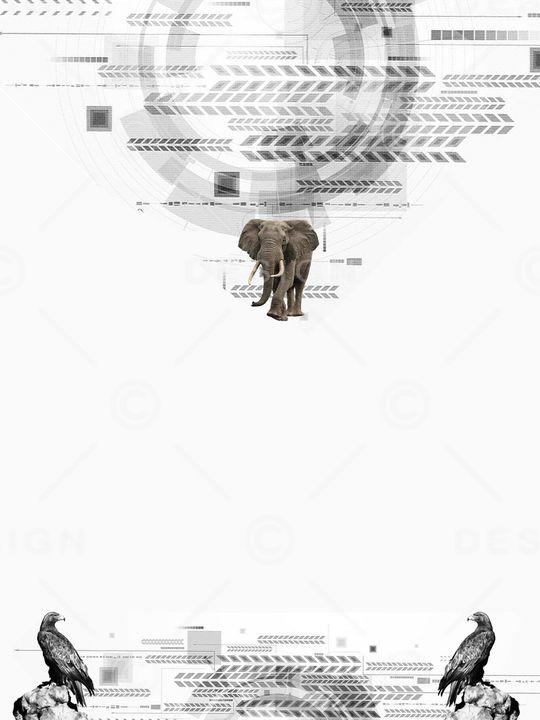 创意印花华亿平台图片