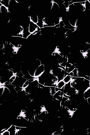 1118116-180826-nzhh-1-00