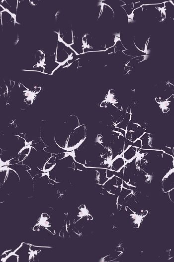 1118117-180826-nzhh-1-2