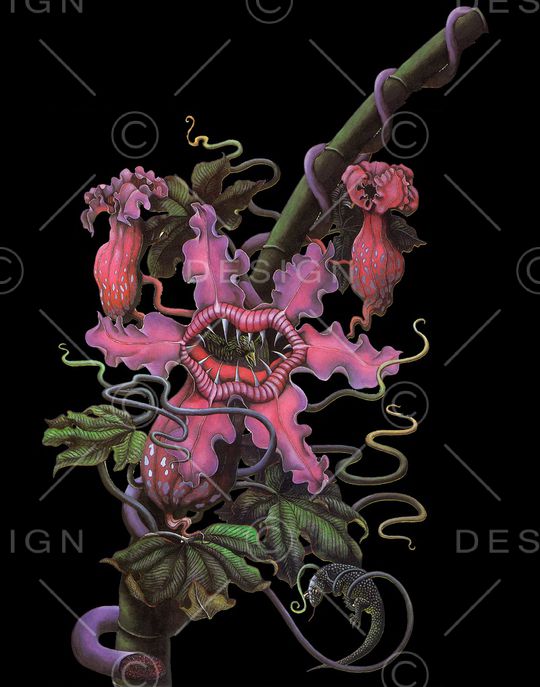 男装印花华亿平台图片