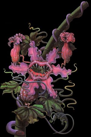 男装印花华亿平台图片