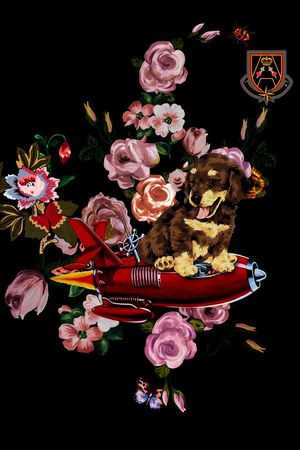 男装印花华亿平台图片