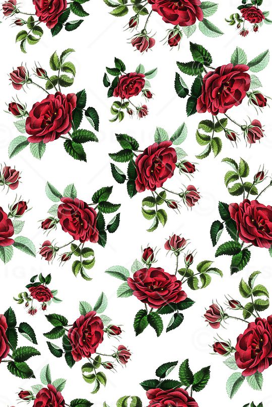 女装印花华亿平台图片