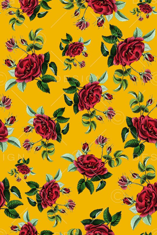 女装印花华亿平台图片