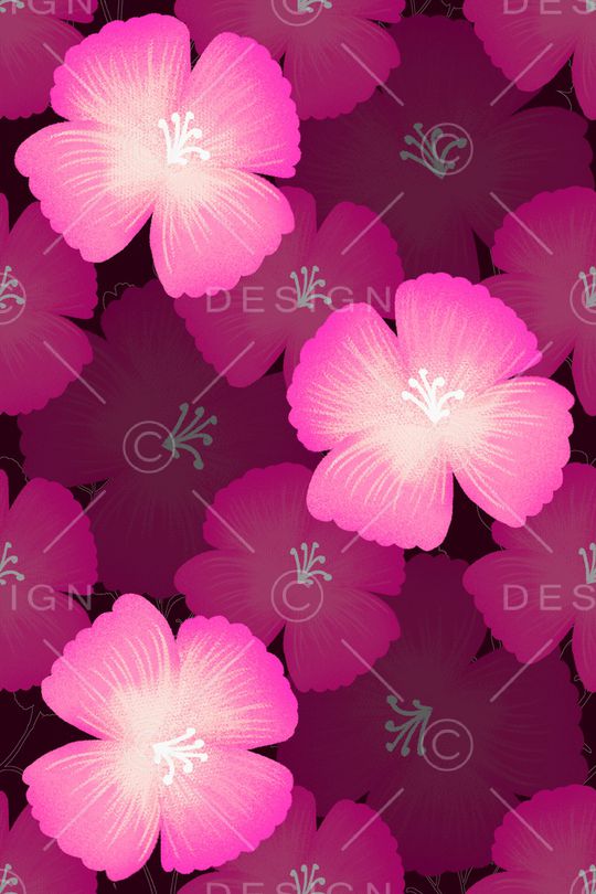 粉色印花华亿平台图片