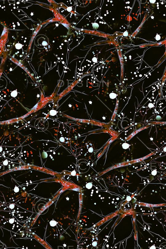 男装印花华亿平台图片