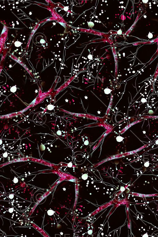 男装印花华亿平台图片