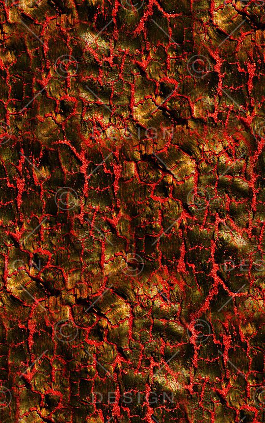 男装印花华亿平台图片