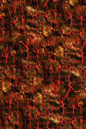 男装印花华亿平台图片