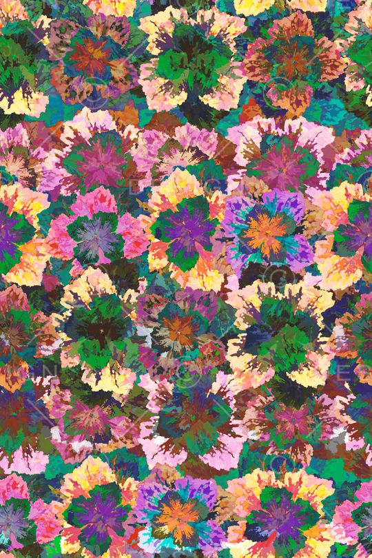 女装印花华亿平台图片