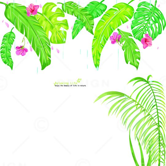 绿植树叶印花华亿平台图片