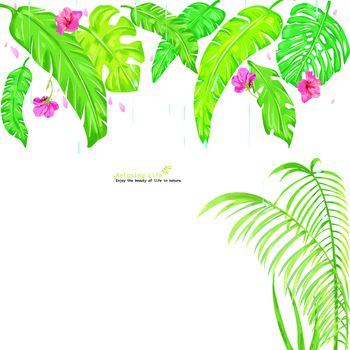 绿植树叶印花华亿平台图片