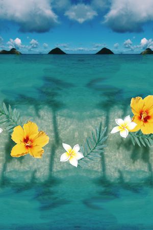 欧美印花华亿平台图片