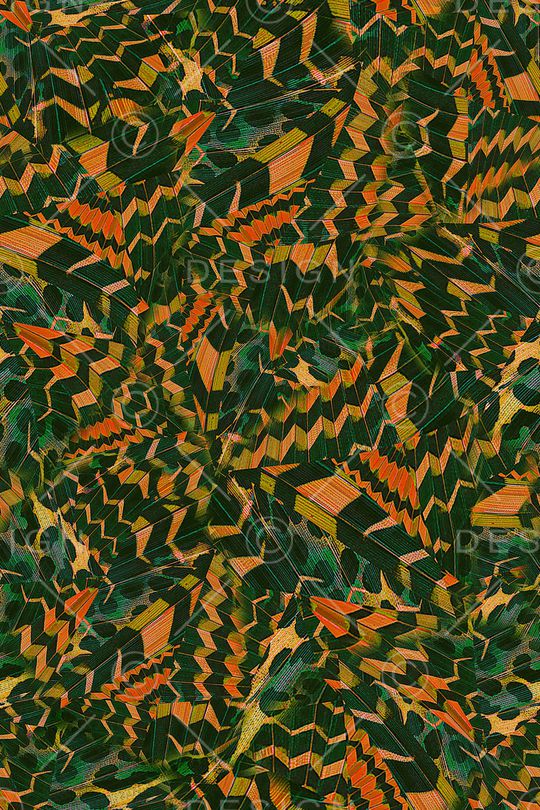 抽象印花华亿平台图片