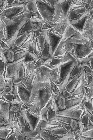 男装印花华亿平台图片