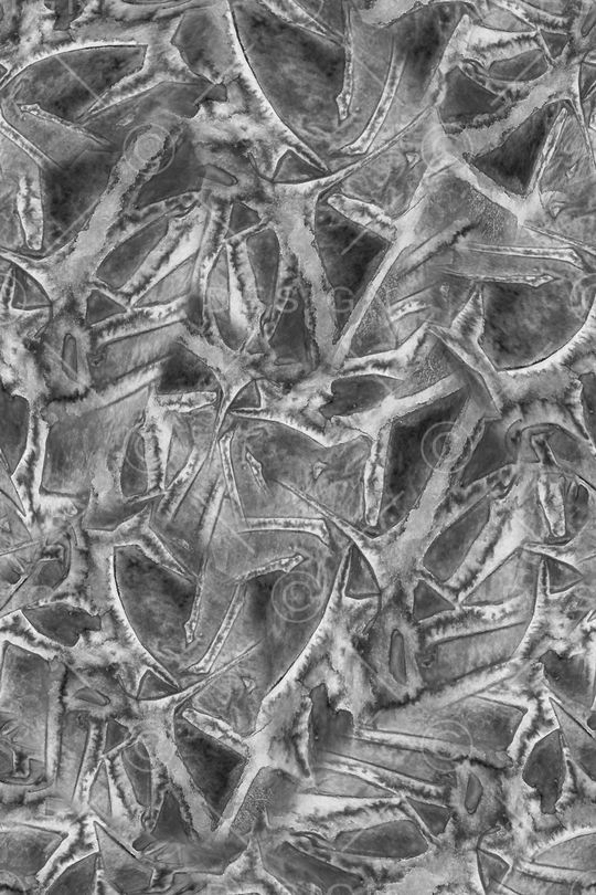 男装印花华亿平台图片