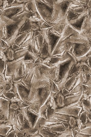 男装印花华亿平台图片