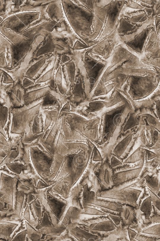 男装印花华亿平台图片