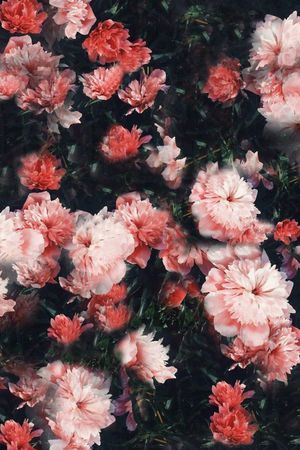 黑底花卉印花华亿平台图片