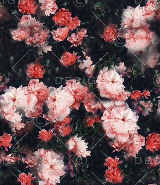 黑底花卉印花华亿平台图片