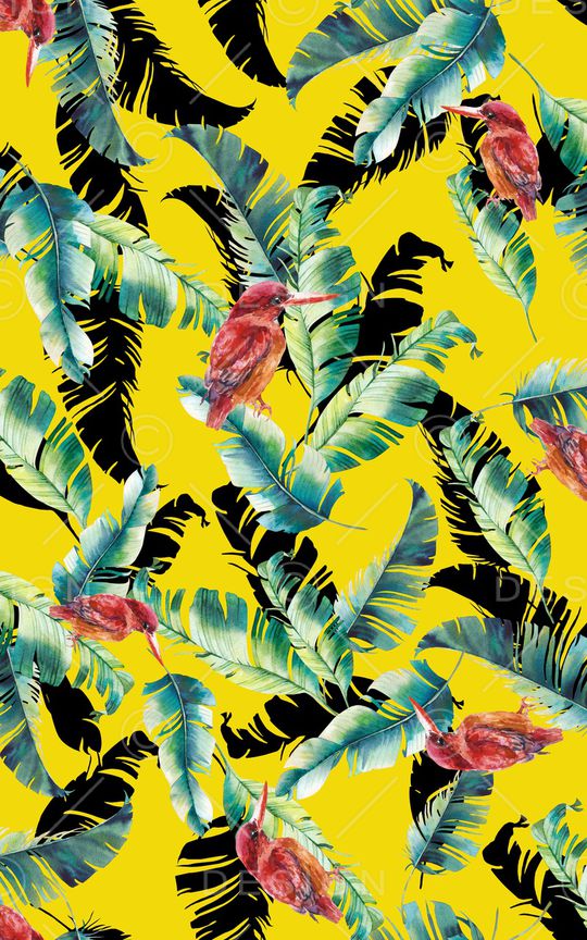 女装印花华亿平台图片