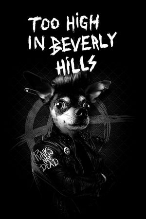 男装印花华亿平台图片