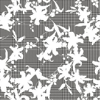 1121359-180917百合白花