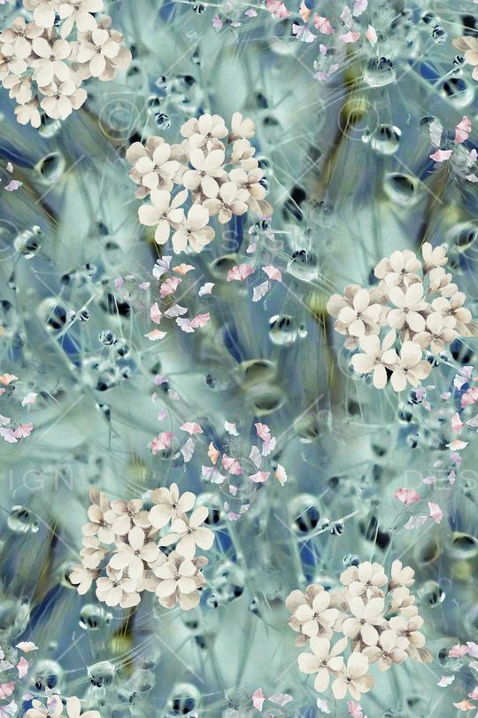 女装印花华亿平台图片