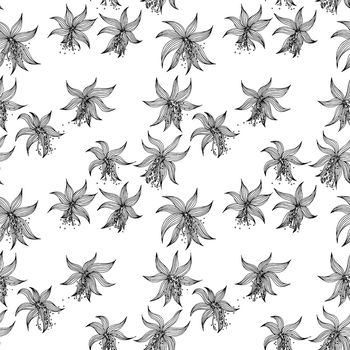 线条印花华亿平台图片