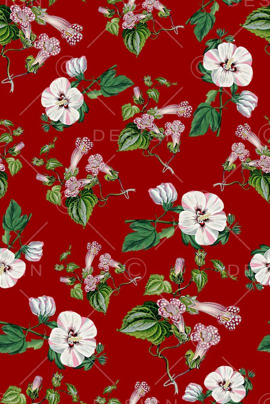 女装印花华亿平台图片