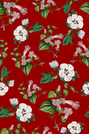 女装印花华亿平台图片