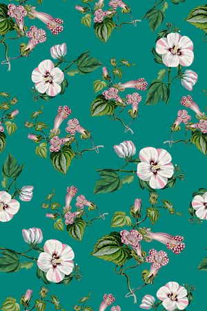 女装印花华亿平台图片