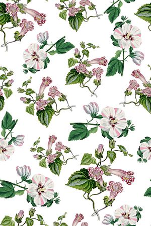 女装印花华亿平台图片