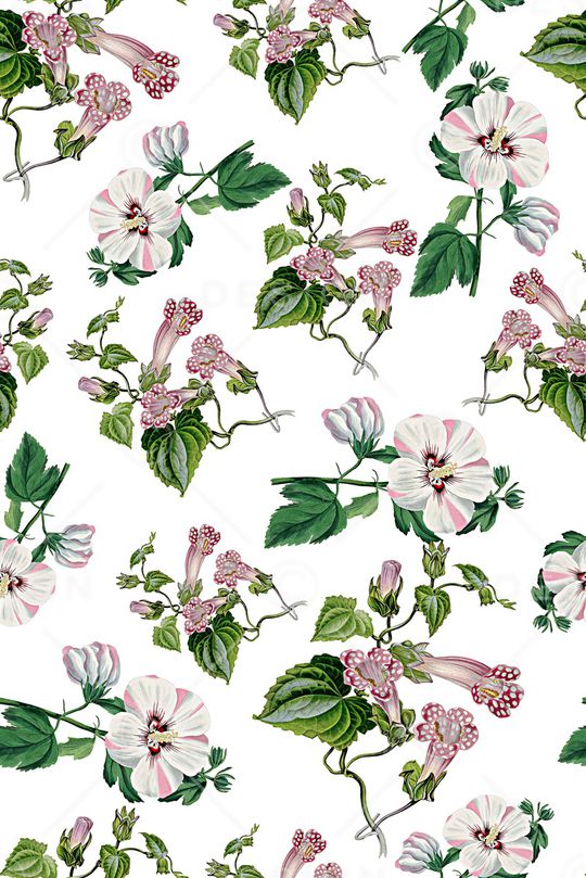 女装印花华亿平台图片