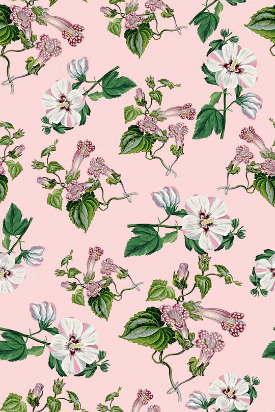 女装印花华亿平台图片