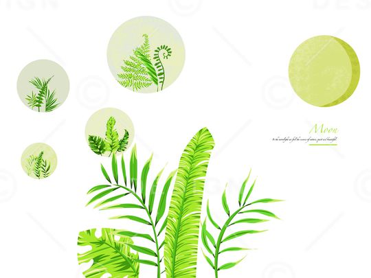 热带华亿平台印花华亿平台图片