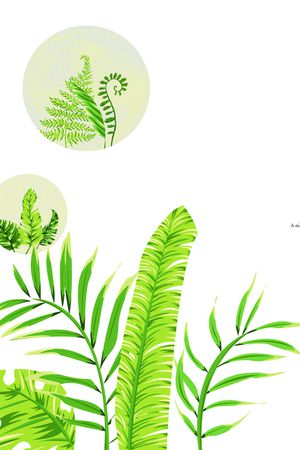 热带华亿平台印花华亿平台图片