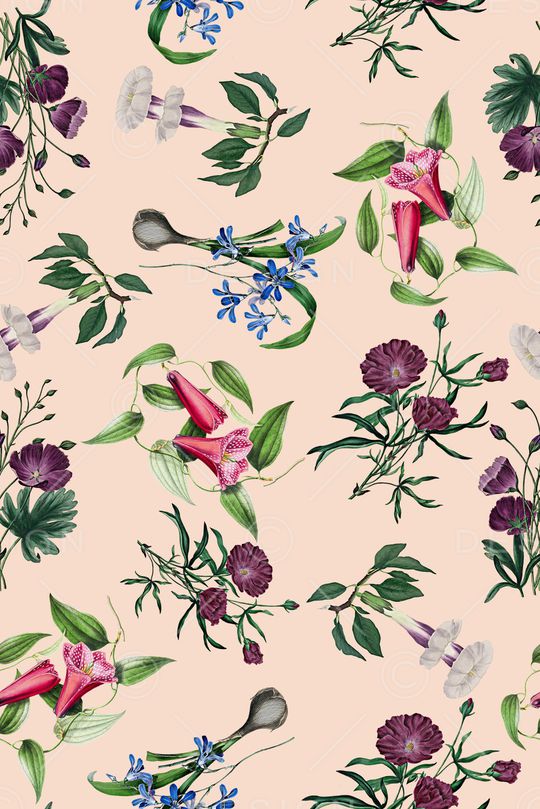 兰花印花华亿平台图片