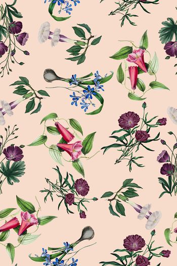 兰花印花华亿平台图片