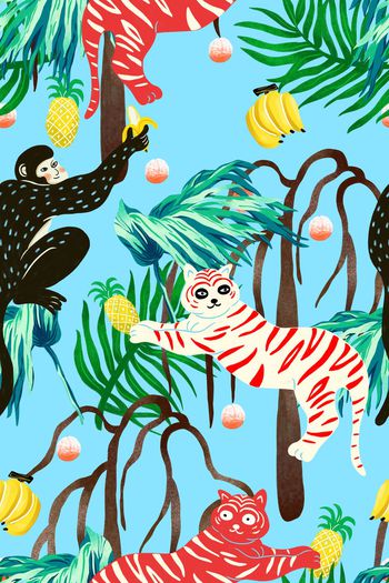 1123233-热情夏威夷5