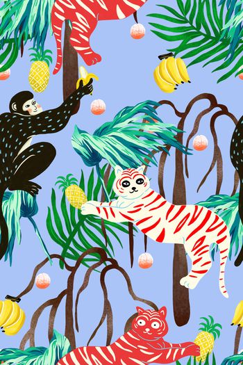 1123234-热情夏威夷5a