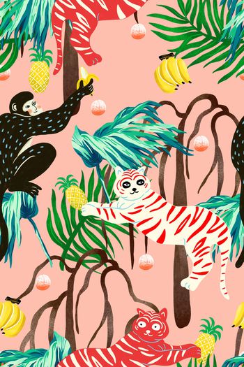 1123235-热情夏威夷5b