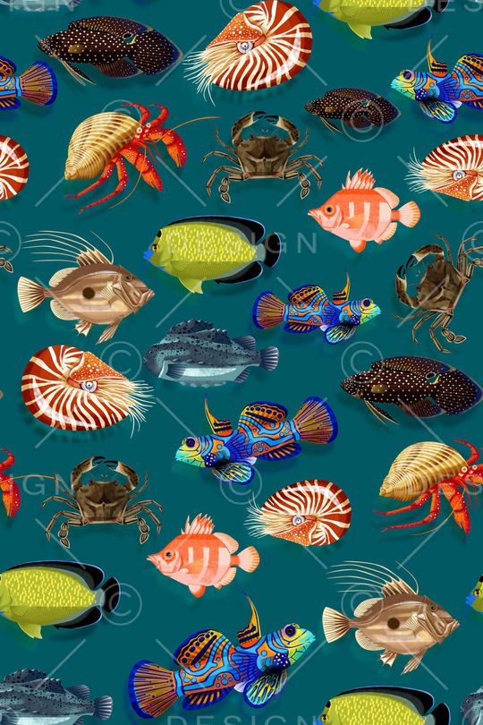 趣味印花华亿平台图片