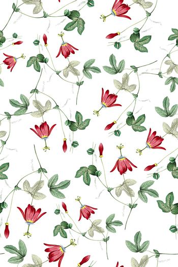 女装印花华亿平台图片