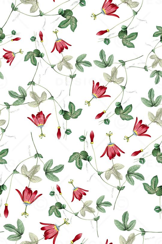 女装印花华亿平台图片