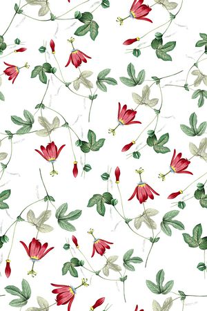 女装印花华亿平台图片