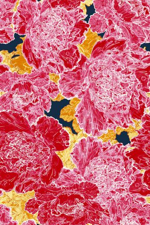 礼服印花华亿平台图片