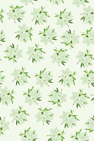 淑女印花华亿平台图片